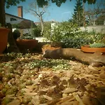 Holiday Flat Villa Vrancic