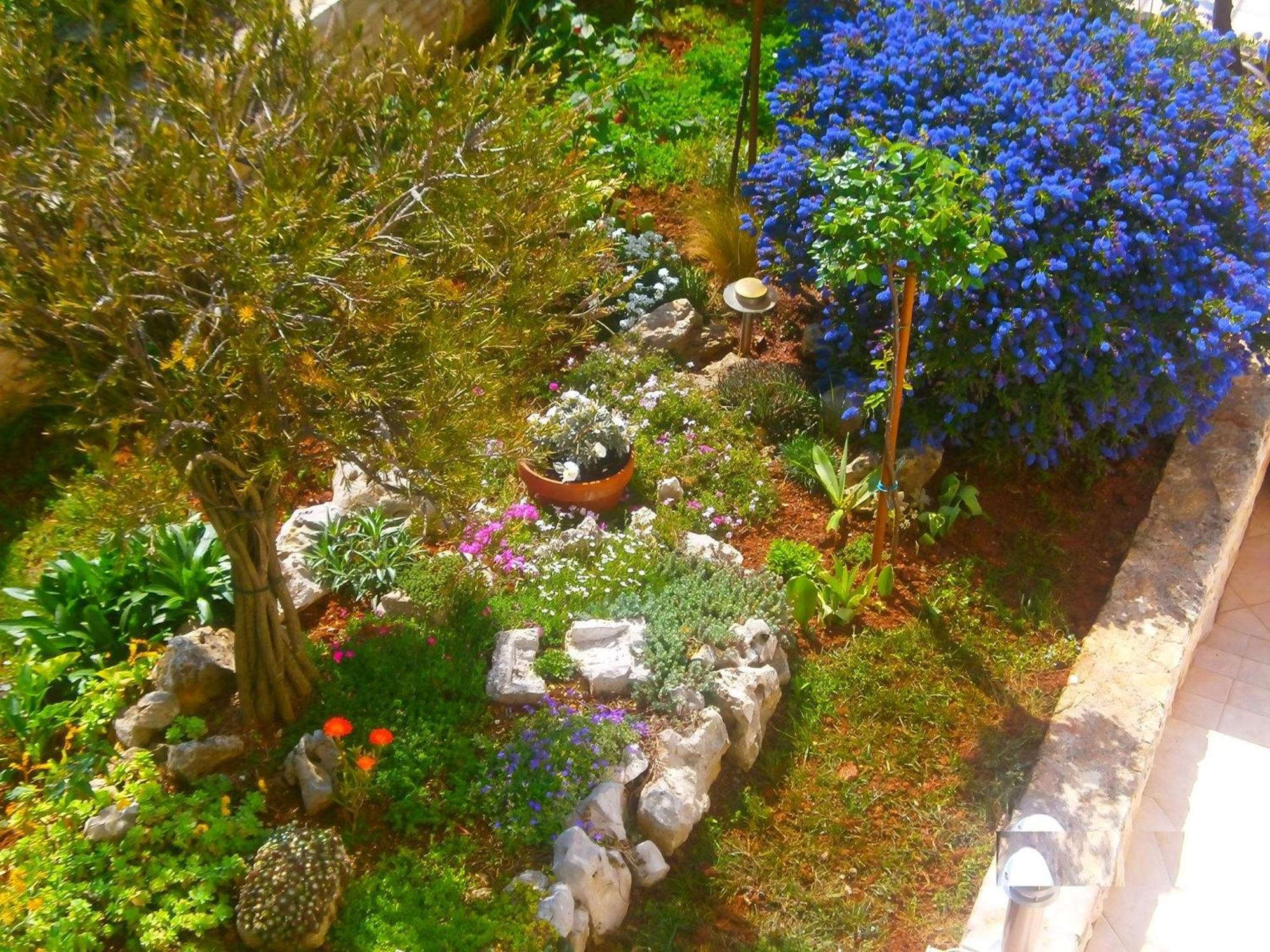 Flat Vrancic Apartman Rovinj