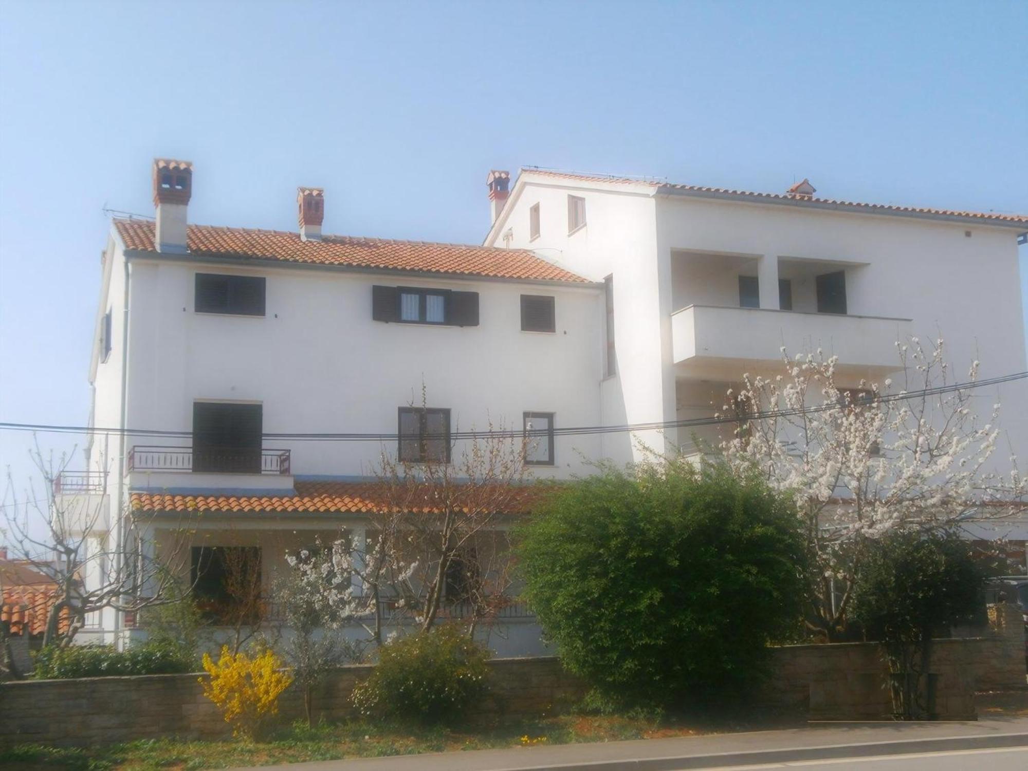 Flat Vrancic